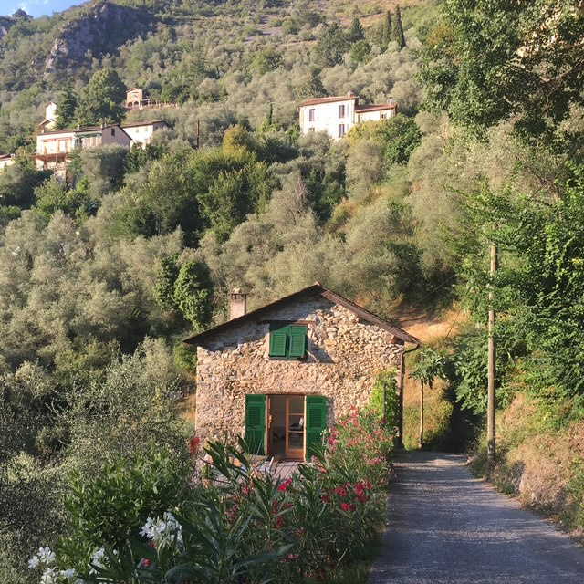 Agence immobilière de Plage et Sommet Immobilier