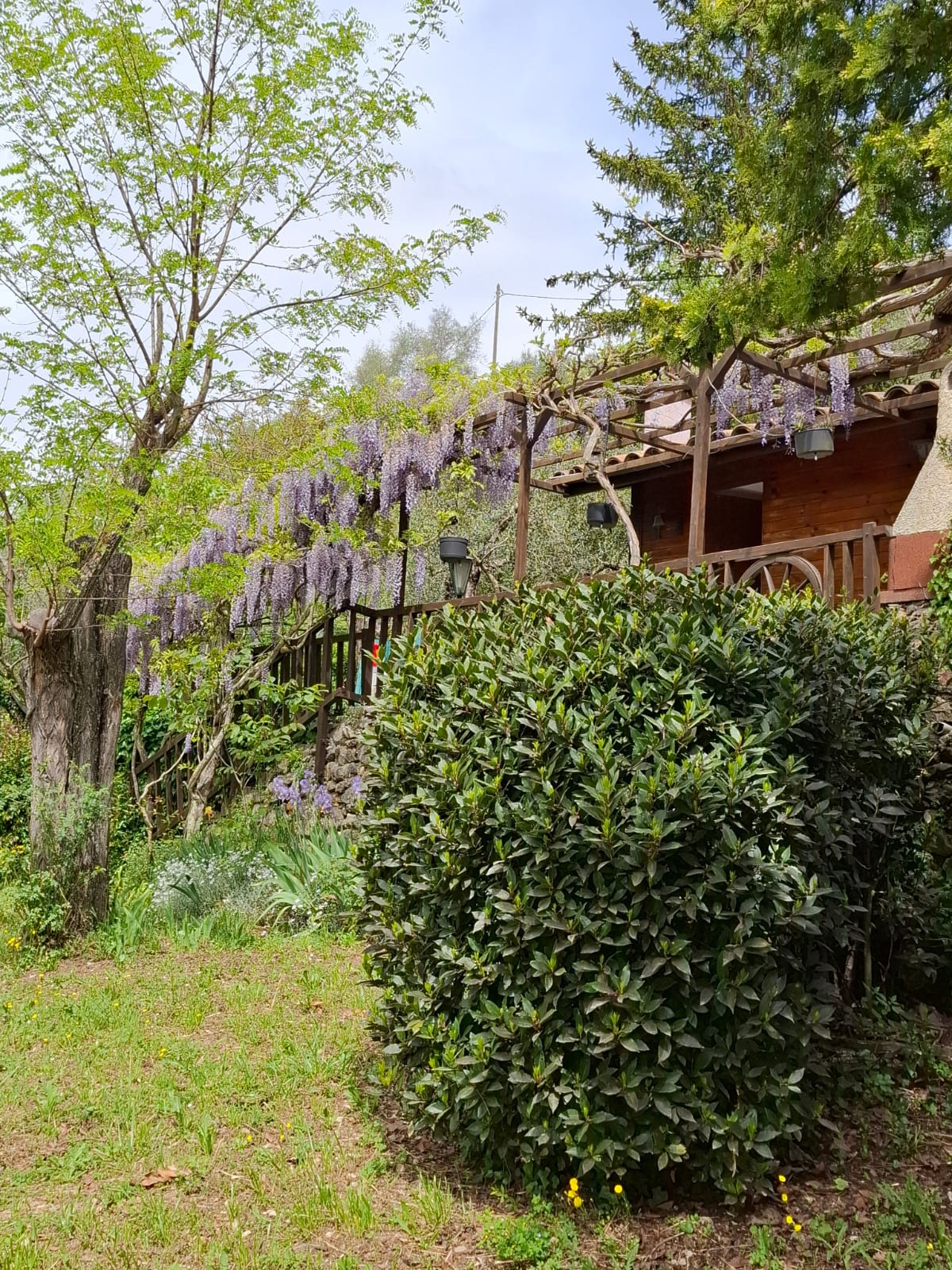 Agence immobilière de Plage et Sommet Immobilier