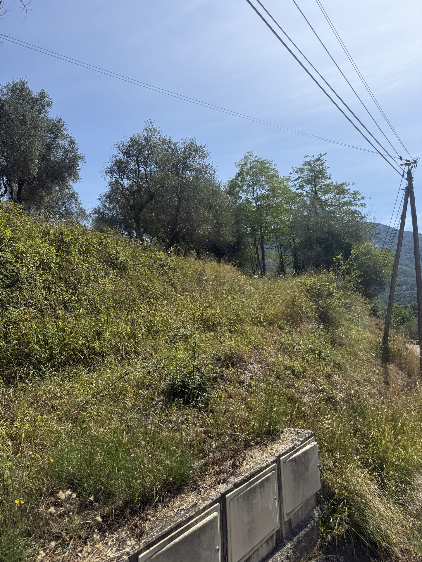 Agence immobilière de Plage et Sommet Immobilier