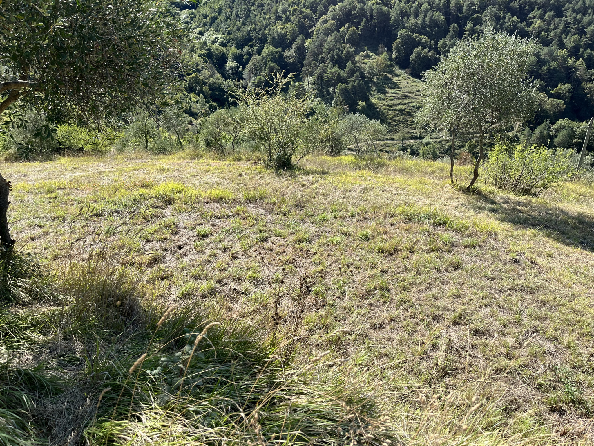 Agence immobilière de Plage et Sommet Immobilier